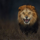 Image for article titled The 100 Most Popular io9 Posts of 2015